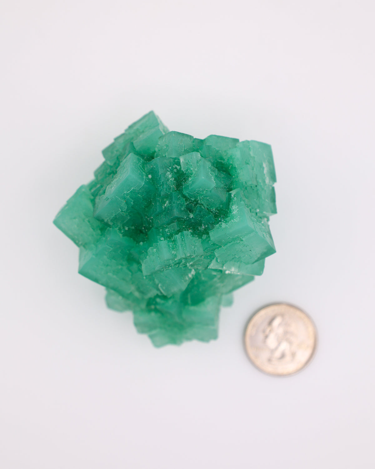 Green Halite