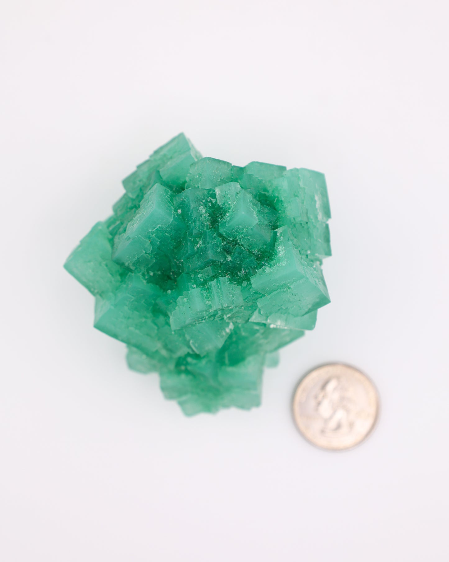 Green Halite