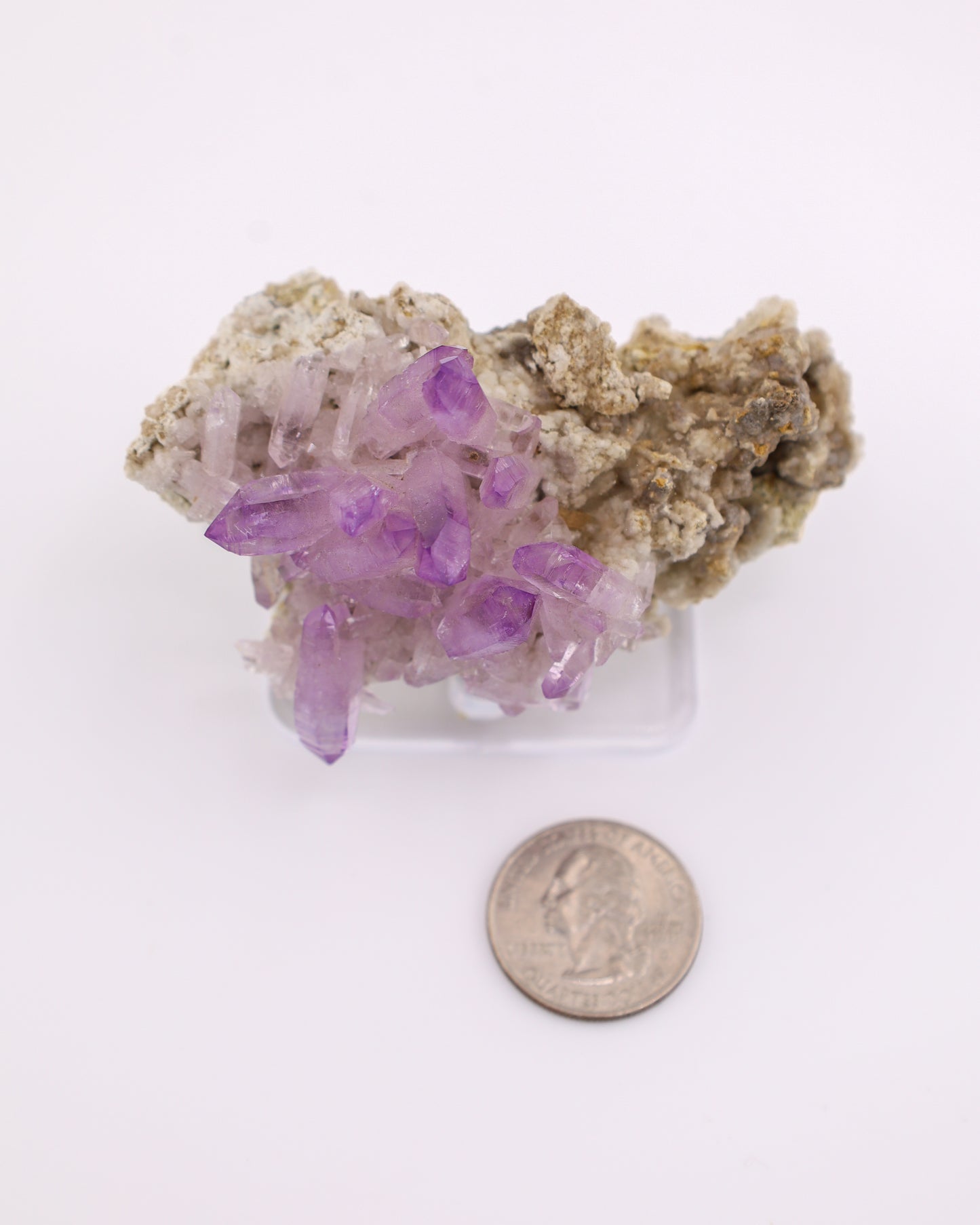 Vera Cruz Amethyst
