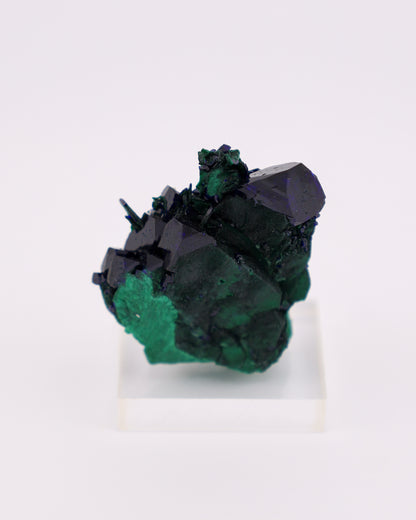 Velvet Malachite on Azurite