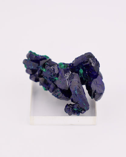 Azurite with Malachite