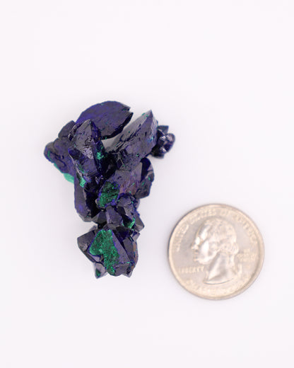 Azurite with Velvet Malachite