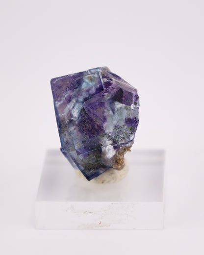 Blue Fluorite with Purple Phantom