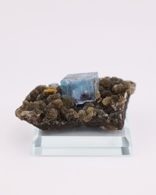 Blue Fluorite with Muscovite