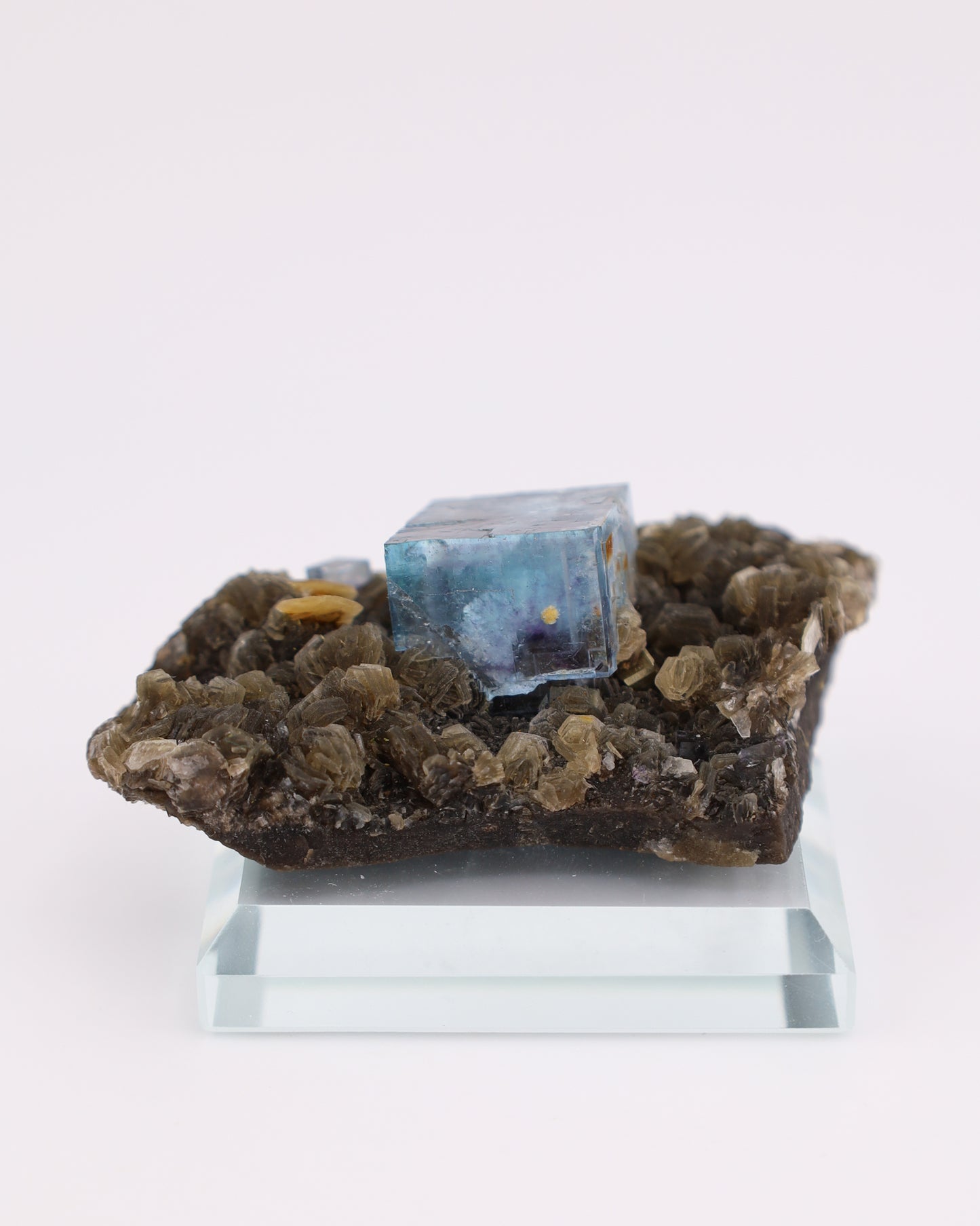 Blue Fluorite with Muscovite