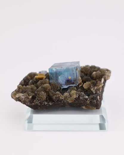 Blue Fluorite with Muscovite