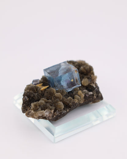 Blue Fluorite with Muscovite