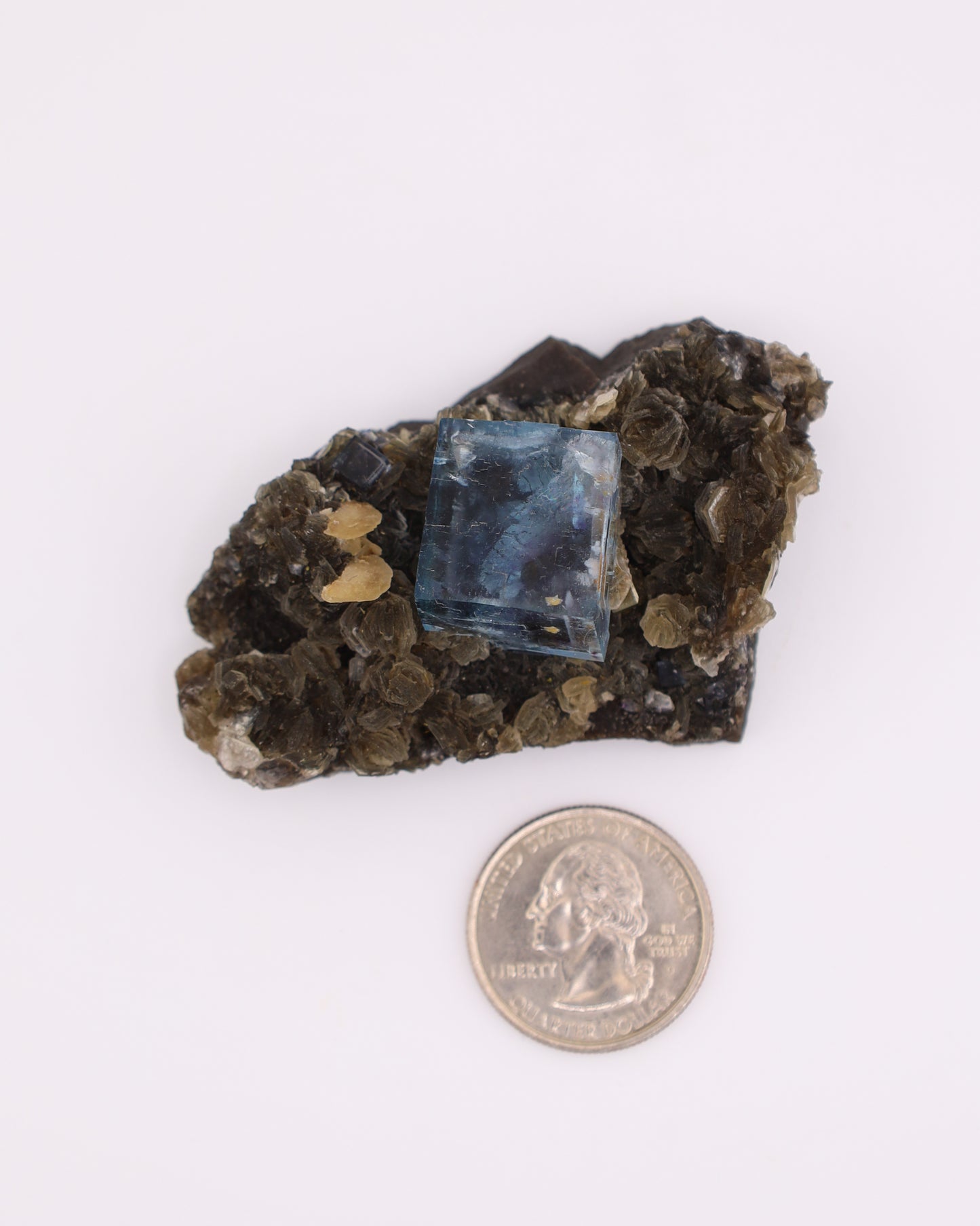 Blue Fluorite with Muscovite