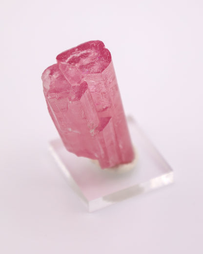 Bubblegum Pink Tourmaline