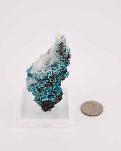 Chrysocolla & Calcite