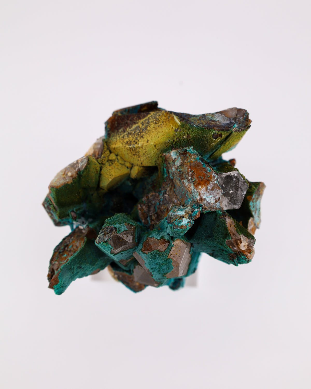 Chrysocolla on Quartz