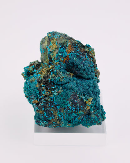 Chrysocolla on Quartz