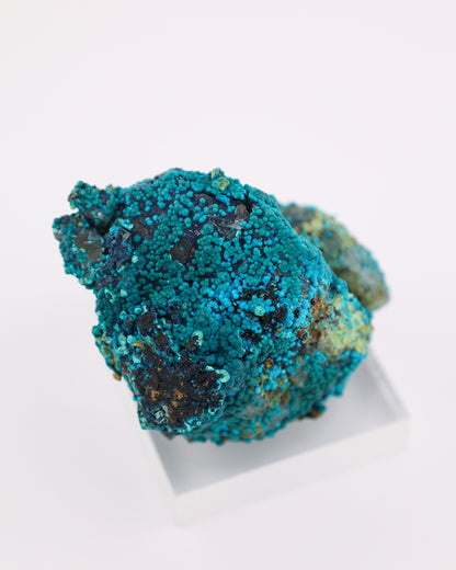 Chrysocolla on Quartz