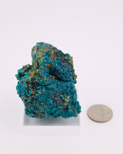 Chrysocolla on Quartz