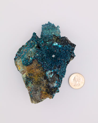 Chrysocolla on Quartz