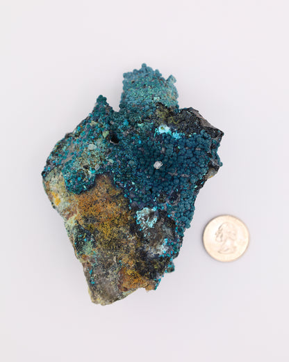 Chrysocolla on Quartz