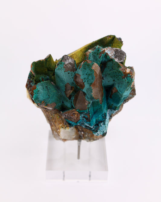 Chrysocolla on Quartz
