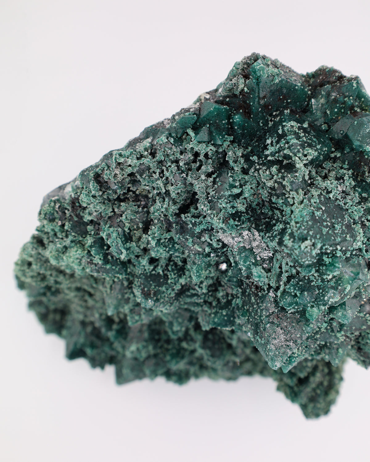 Celadonite included Apophyllite