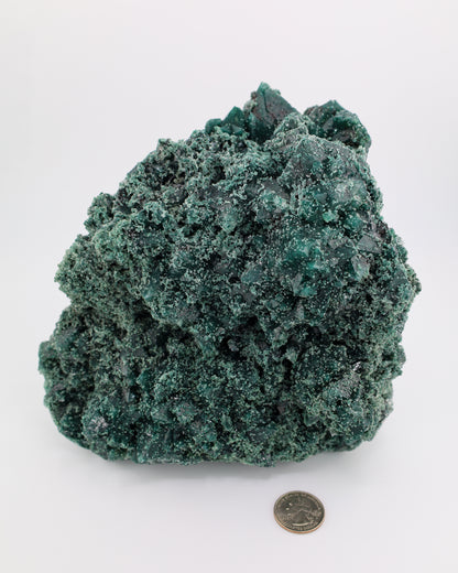 Celadonite included Apophyllite