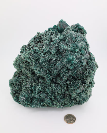 Celadonite included Apophyllite