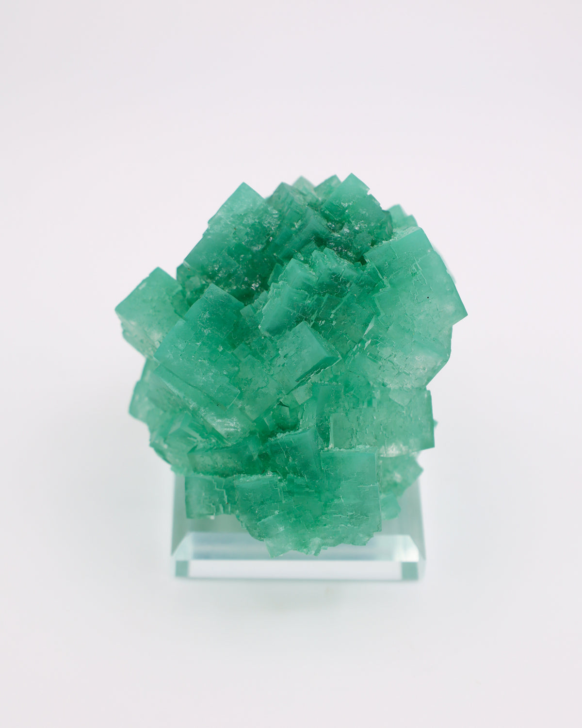 Green Halite