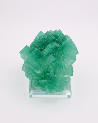 Green Halite