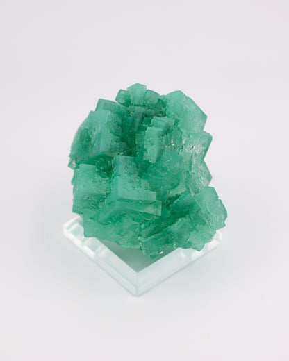 Green Halite