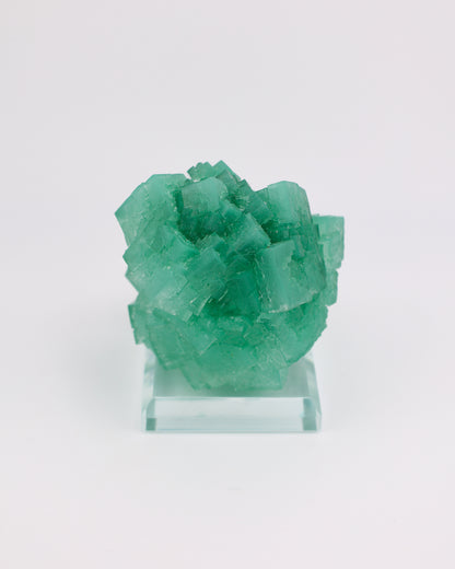 Green Halite