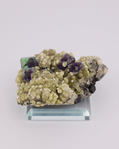 Green & Purple Fluorite with Dolomite & Pyrite Matrix