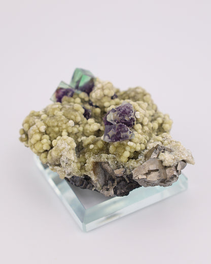Green & Purple Fluorite with Dolomite & Pyrite Matrix