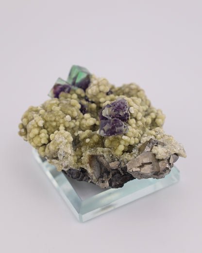 Green & Purple Fluorite with Dolomite & Pyrite Matrix