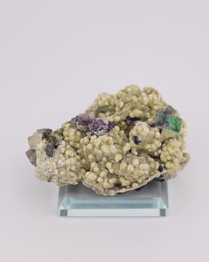 Green & Purple Fluorite with Dolomite & Pyrite Matrix
