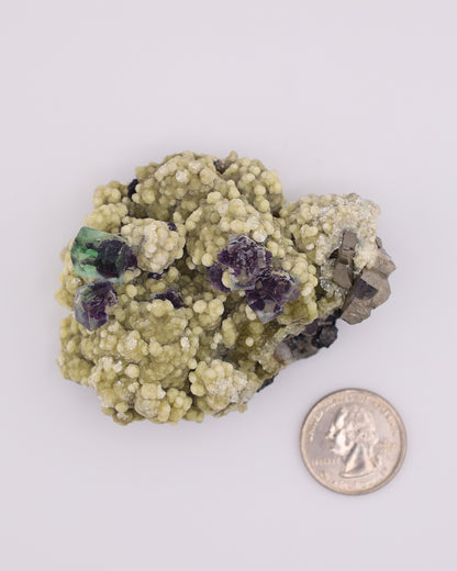 Green & Purple Fluorite with Dolomite & Pyrite Matrix