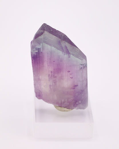 Bi-Color Kunzite