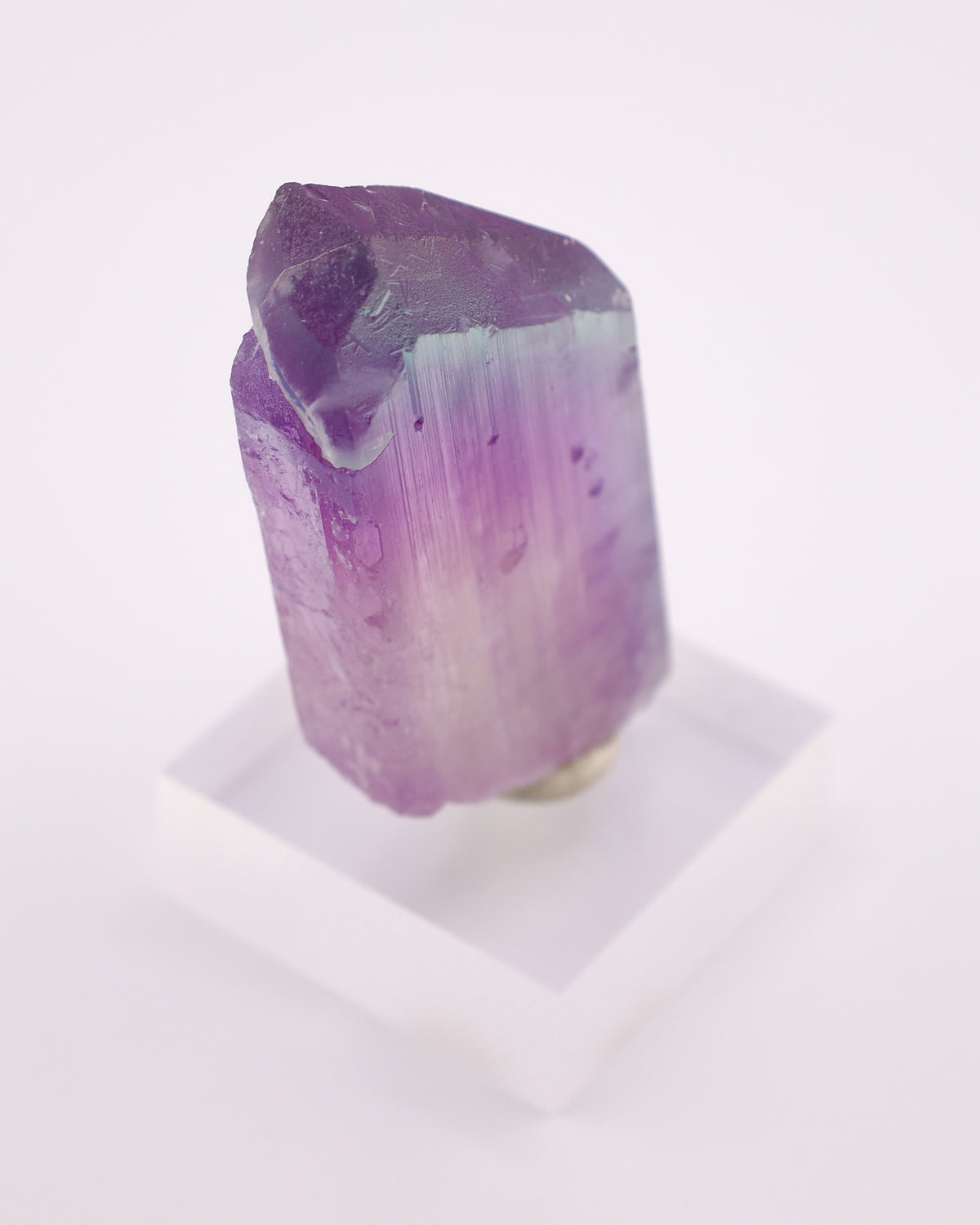 Bi-Color Kunzite