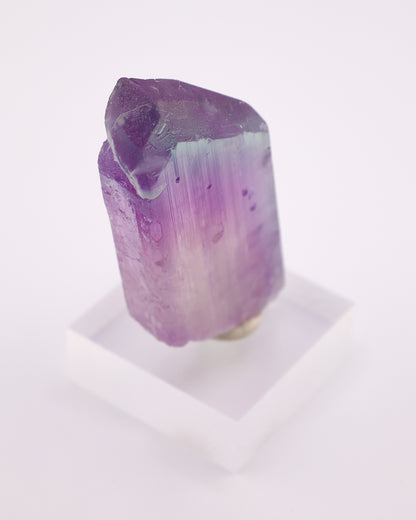 Bi-Color Kunzite