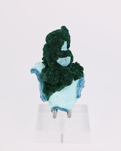 Fibrous Malachite with Shattuckite