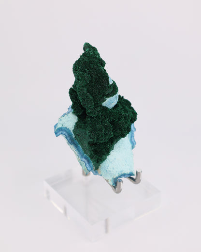 Fibrous Malachite with Shattuckite