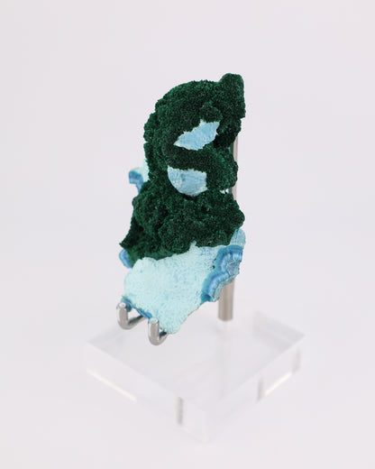 Fibrous Malachite with Shattuckite