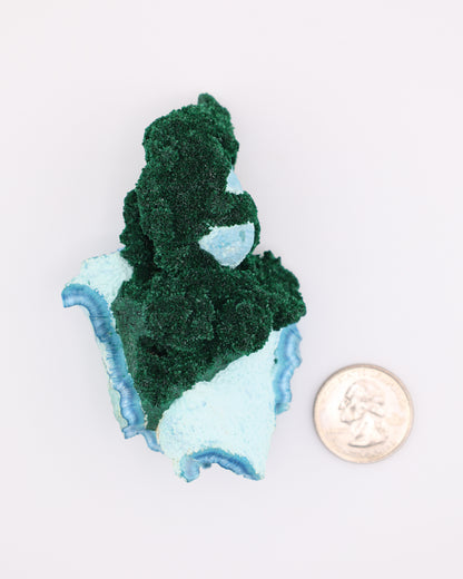 Fibrous Malachite with Shattuckite