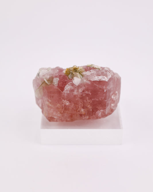 Pink Apatite