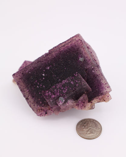 Purple Fluorite