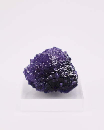 Purple Fluorite
