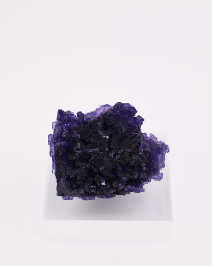 Purple Fluorite