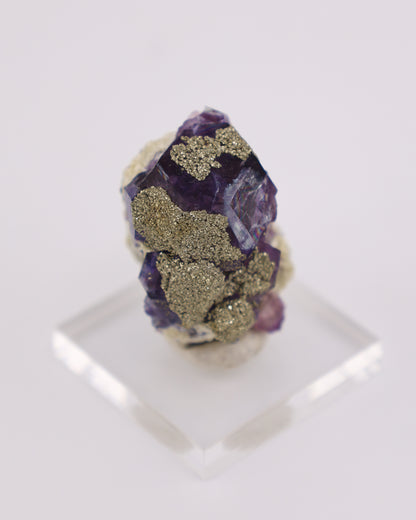 Purple Fluorite with Pyrite