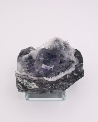 Truncated Cube Purple Fluorite Phantom with Druzy Quartz Matrix
