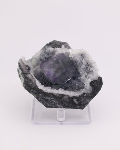 Truncated Cube Purple Fluorite Phantom with Druzy Quartz Matrix