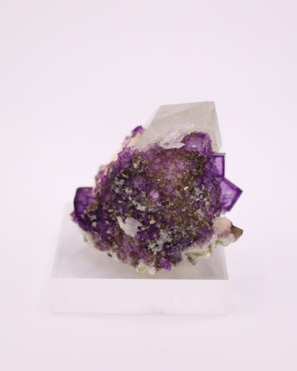 Quartz with Purple Fluorite & Muscovite