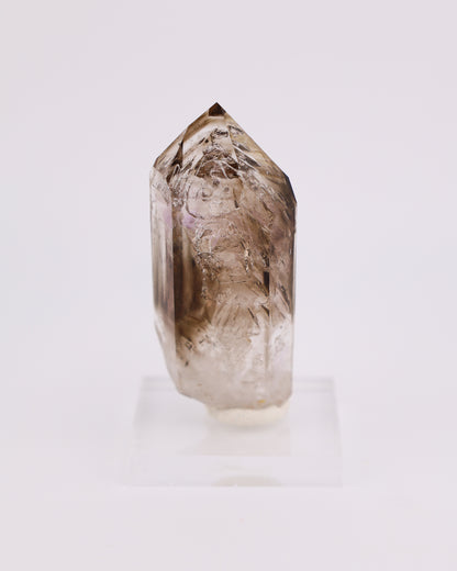 Enhydro Phantom Smoky Quartz
