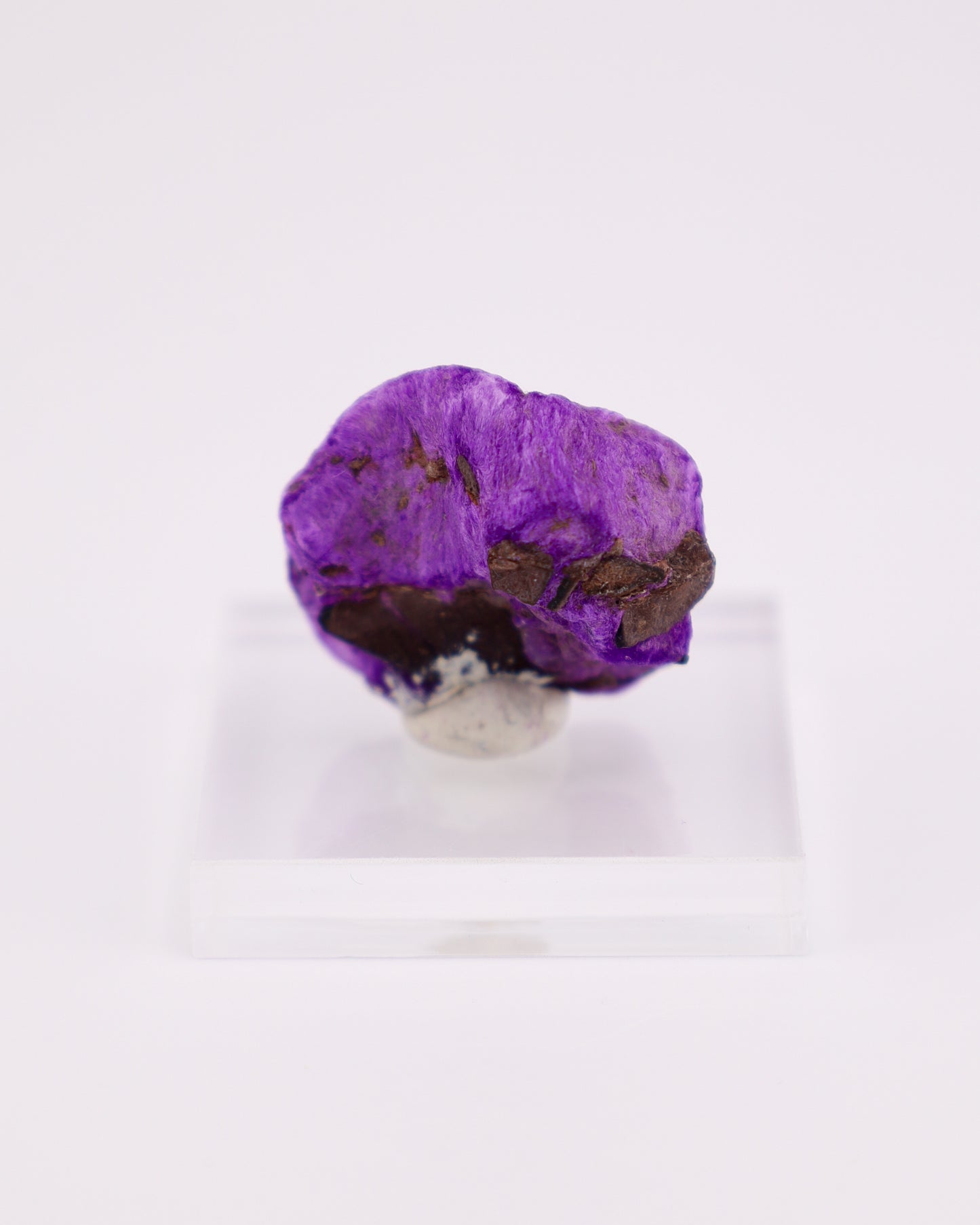 Fibrous Sugilite